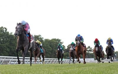 Meadowlands turf meet to kick off October 1