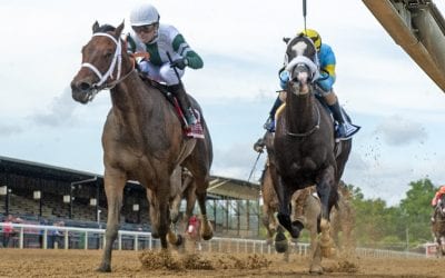 Delaware: Chub Wagon-Hello Beautiful rematch on tap