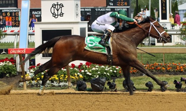 Chub Wagon to try to keep rolling in Shine Again