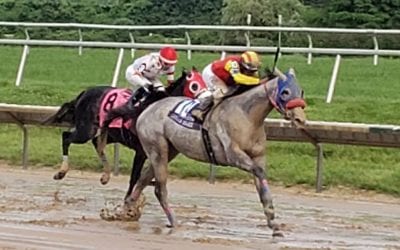 Delaware: Dream Marie DQ upheld