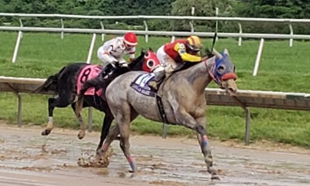 Dream Marie DQed from Obeah win