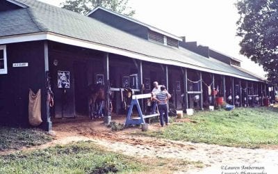 Delaware Park reunion aims to bring “family” back together