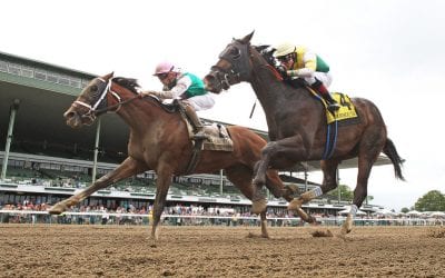 NJ whip rules remain contentious