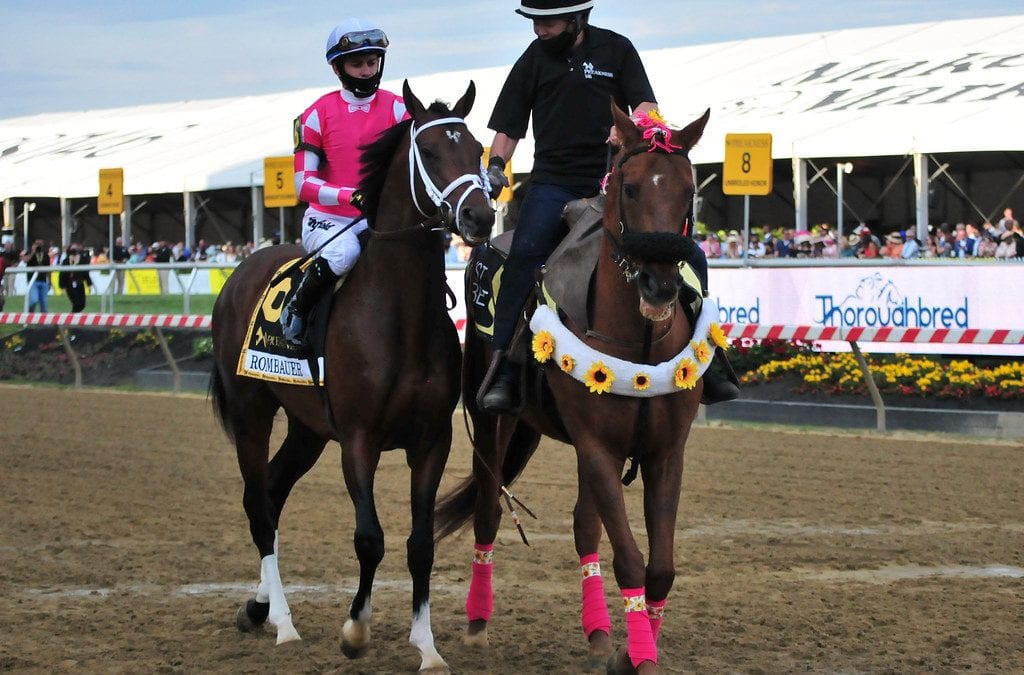 Maryland racing: Stories that mattered in 2021