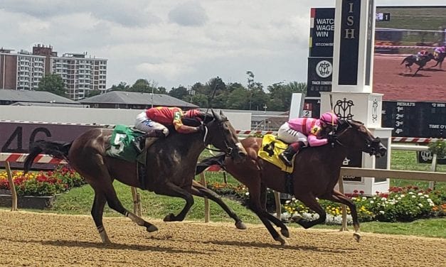 Well-attired She’sarollingstone a first-out winner