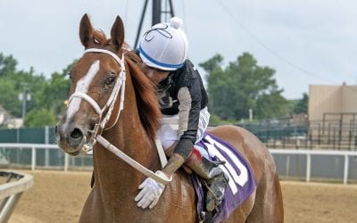 Robb, Street Lute taking swing in CT Oaks