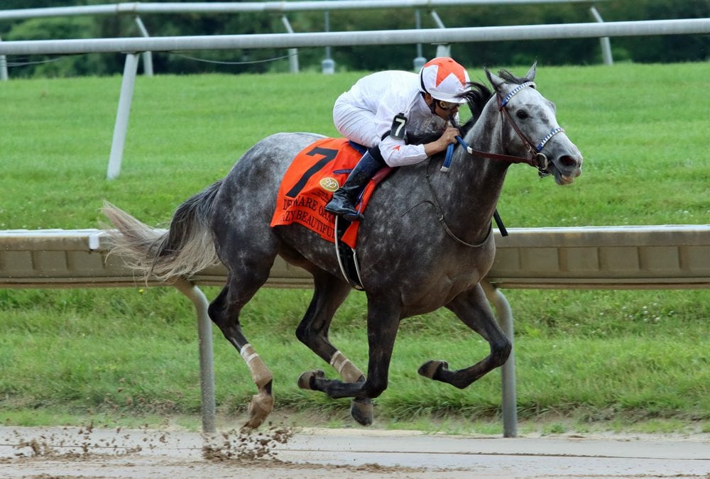 Delaware Park picks and horses to watch: November 5