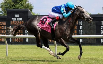 Delaware Park Handicappers’ Notebook 2022 Vol. 23