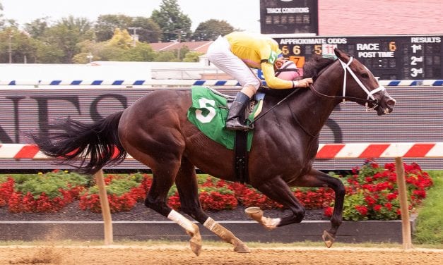 Wondrwherecraigis looking for graded score in De Francis Dash