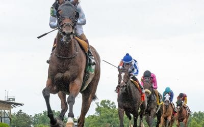 Micheline looks to bounce back in G3 Dick Memorial