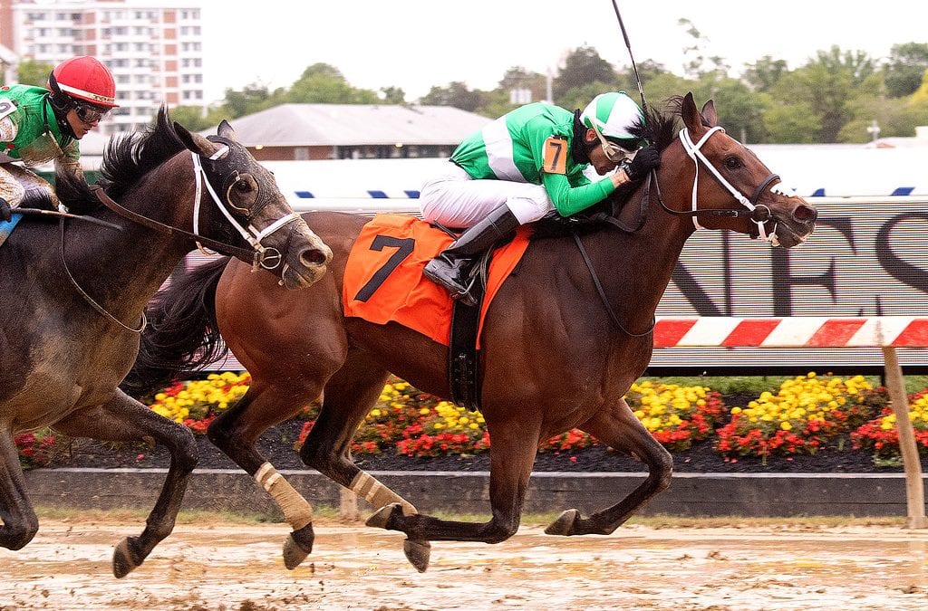 Doubleoseven spying upset in Manfuso