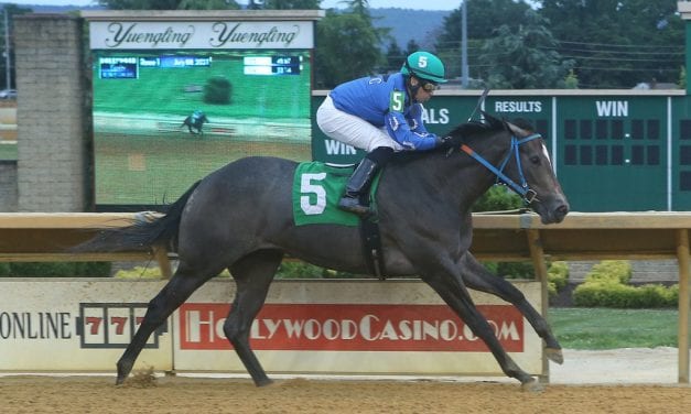 Fancy Her Up hits the ground running