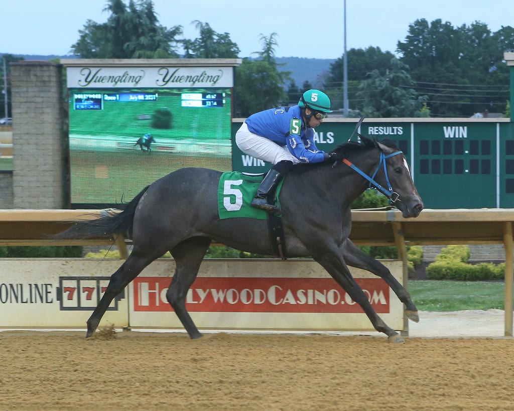 Fancy Her Up won at Charles Town at first asking. Photo by Coady Photography. Fancy Her Up