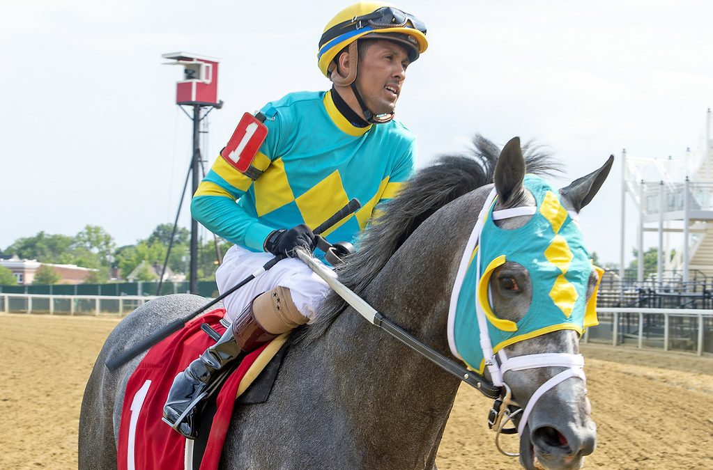 Millionaire Field Pass looking to bounce back in Find