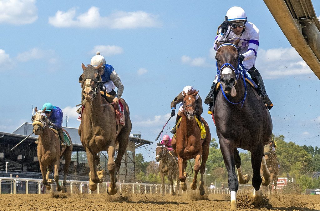 Jockey Club Fact Book for 2024 now available