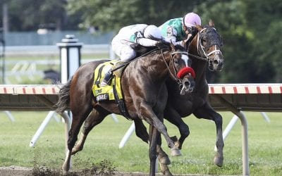 Derby Bill picks the Haskell day all stakes Pick 4