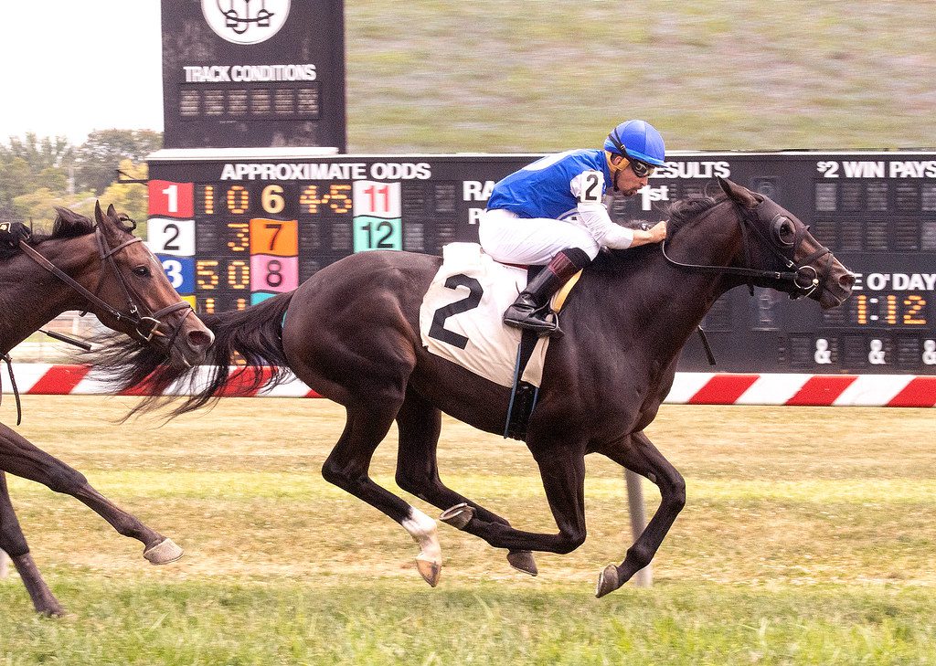 indian lake-bald eagle derby Indian Lake