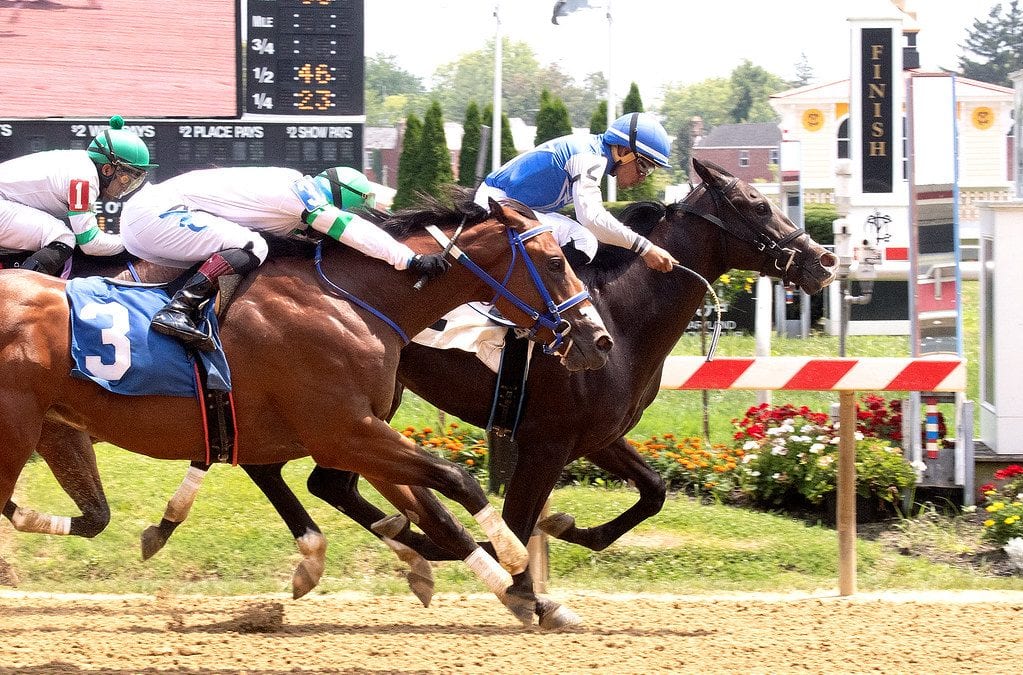 Md Million: New sires hoping for fast starts