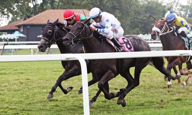 Parx Racing temporarily off the turf