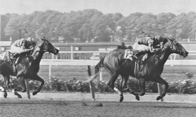 BackTracks: What a Summer, what a horse