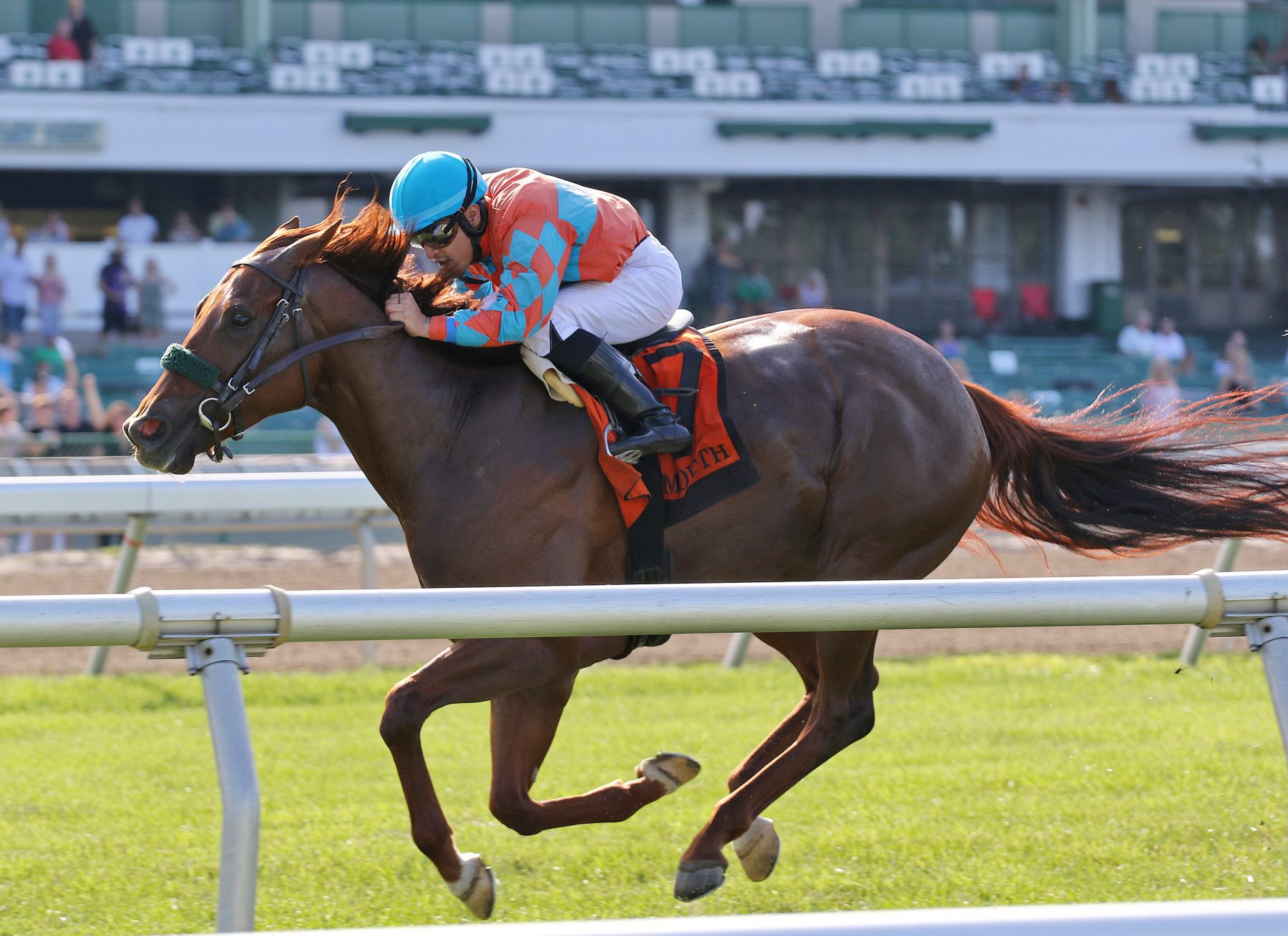 08-14-21-11-Introduced-FIN_02