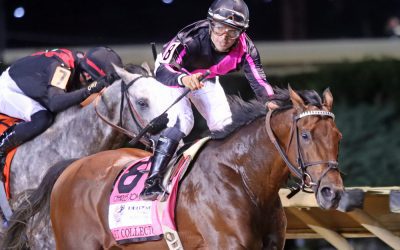 Charles Town picks and analysis: August 2, 2025