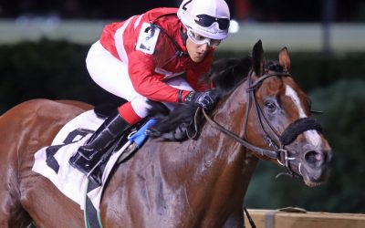 Exculpatory romps in Hilton Memorial