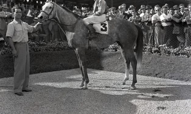 BackTracks: Lady Maryland, tapestry in grey