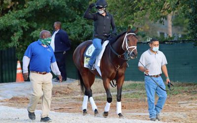 Art Collector is CT CLassic headliner