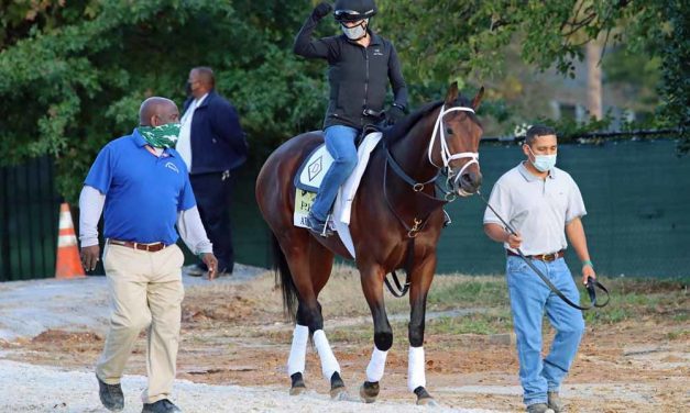 Art Collector is CT CLassic headliner