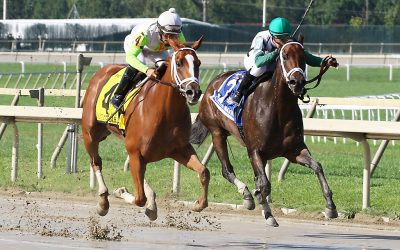 Amicar positive DQs Don’t Call Me Mary