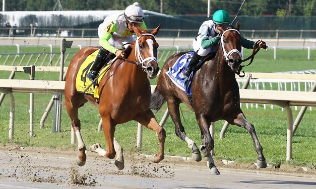 Amicar positive DQs Don’t Call Me Mary