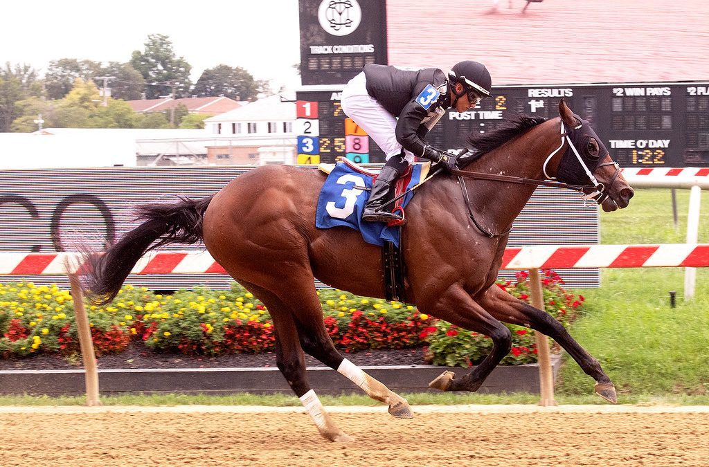 H P Moon set for return in Spectacular Bid