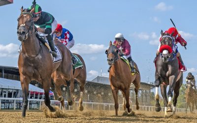 Jockey Club releases 2022 fact book