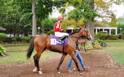 Two Emmys favored in Cape Henlopen
