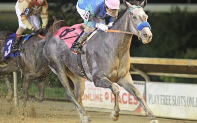 CT: Intriguing group set for Sadie Hawkins