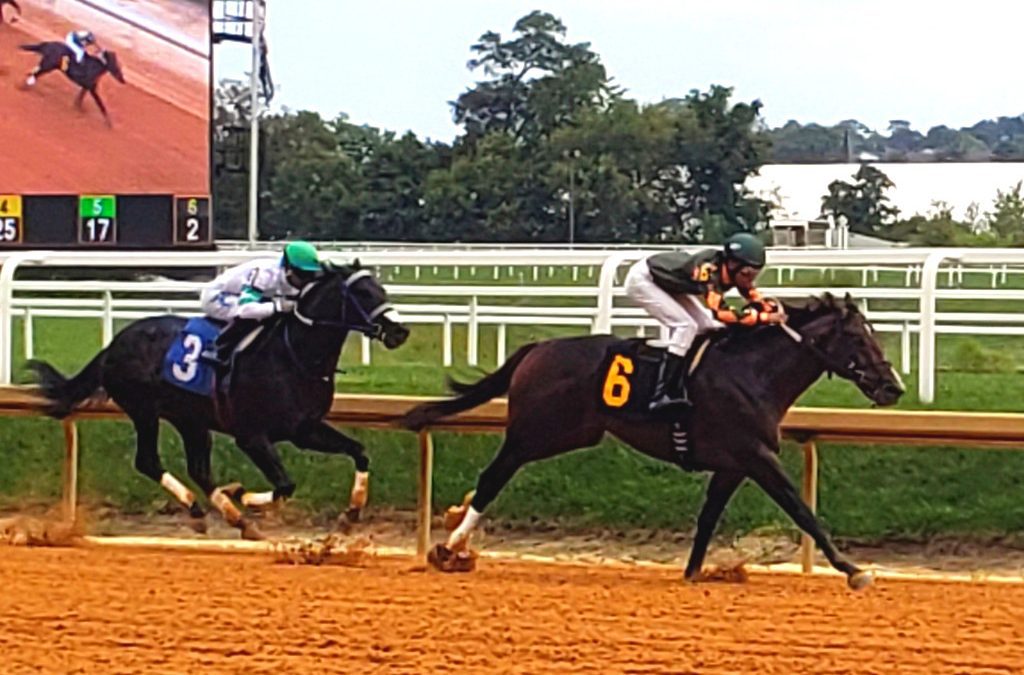 Laurel Park will not race this upcoming weekend