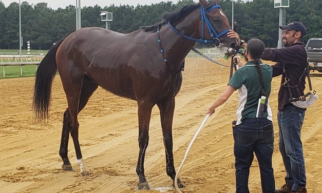 Epic Luck looking for more in Laurel Futurity