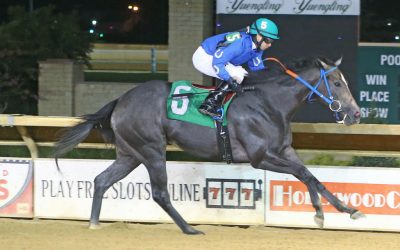 Fancy Her Up to bid for Its Binn Too Long laurels