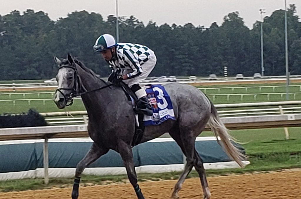 Colonial Downs announces Va. Derby ticket options