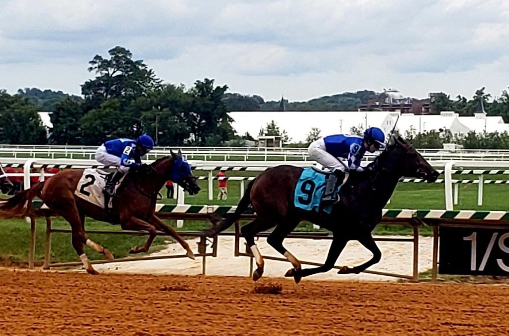 1/ST, NYRA enter content distribution agreement
