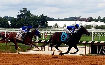 1/ST, NYRA enter content distribution agreement