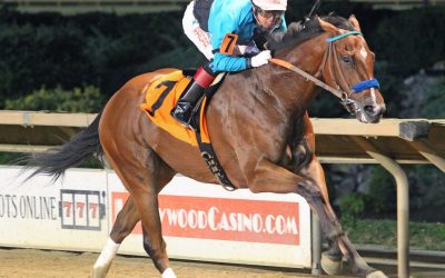 Owner David Raim hoping for big WVBC