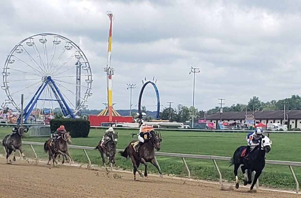 Timonium picks and ponderings: September 2, 2024
