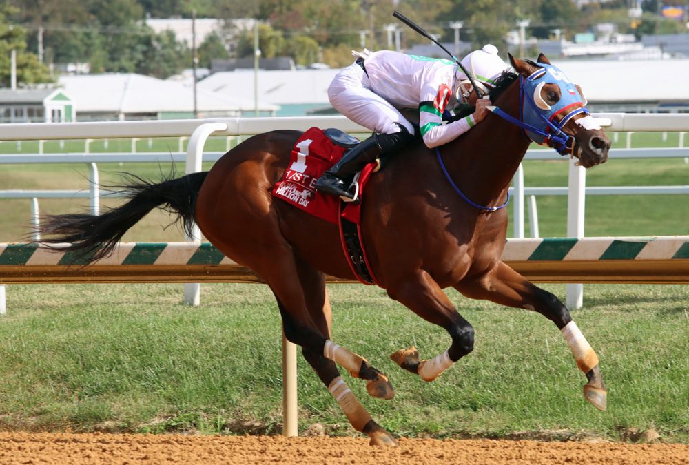 Fasig-Tipton: Of stakes winners and famous sibs