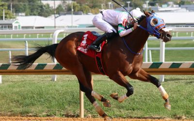 Fasig-Tipton: Of stakes winners and famous sibs