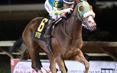 WVBC: Big night for broodmare Miss Henny Penny