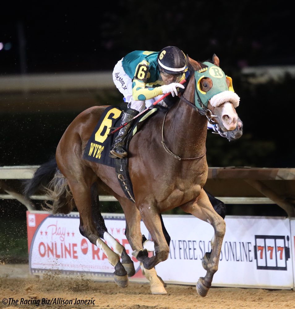 Door Buster won the WV Tourism Office Breeders' Classic. Photo Allison Janezic. Door Buster