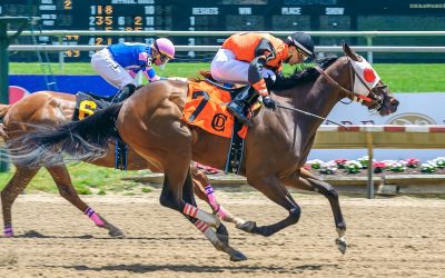 Trainer Andy Simoff horsing around with names
