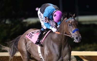 Muad’dib named WV horse of the year in melancholy ceremony